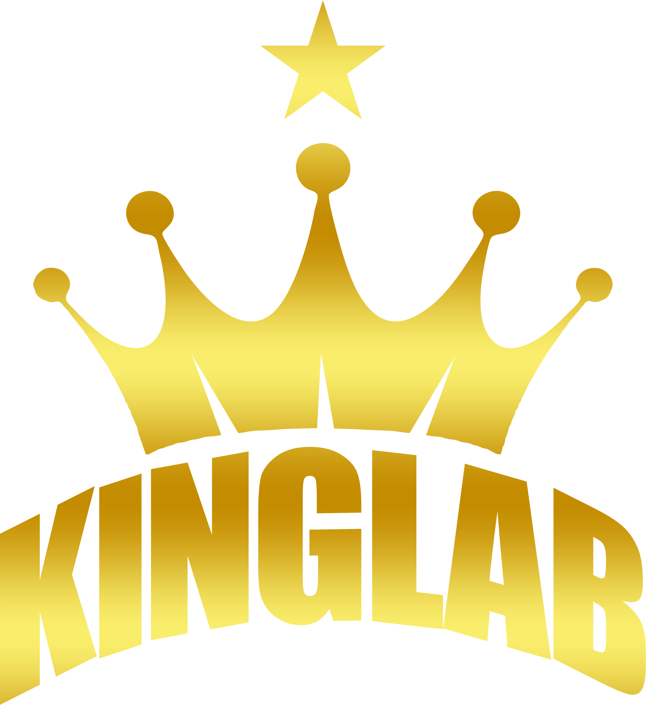 PT. KINGLAB INDONESIA